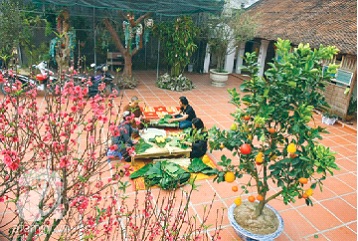 Tết cổ truyền trên khắp quê hương Việt Nam. Ảnh: CTV