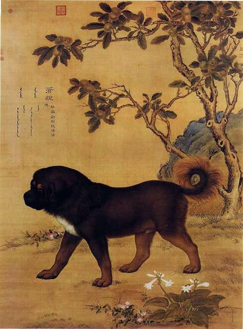 Con chó nhà Đức Chúa Trời