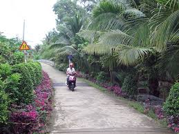 Cầu và đường nông thôn ở xã nông thôn mới Cẩm Sơn, huyện Mỏ Cày Nam. Ảnh: CTV Ảnh: CTV Ảnh: DA