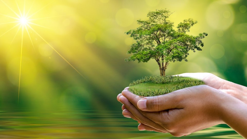 Laudato si - Kim chỉ nan cho một chương trình phát triển sự thân thiện giữa con người và môi trường