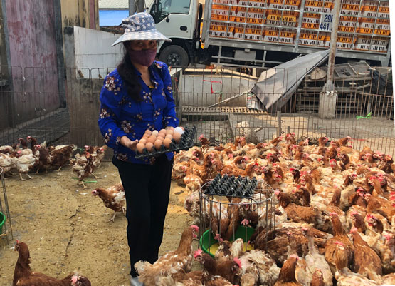 Cuộc sống mưu sinh của các tiểu thương tại chợ gia cầm Hà Vỹ vẫn còn nhiều nỗi lo. 