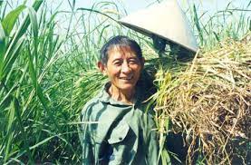 Anh hùng lao động Hồ Giáo. Ảnh: Trần Đăng