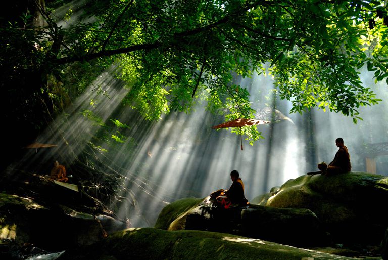 Yêu quý thiên nhiên, đây là tinh thần cơ bản của quan điểm về thiên nhiên của Phật giáo. Ảnh: CTV
