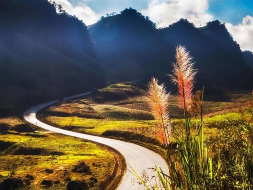 Cung đường Mộc Châu Sơn La. Ảnh: Hoài An