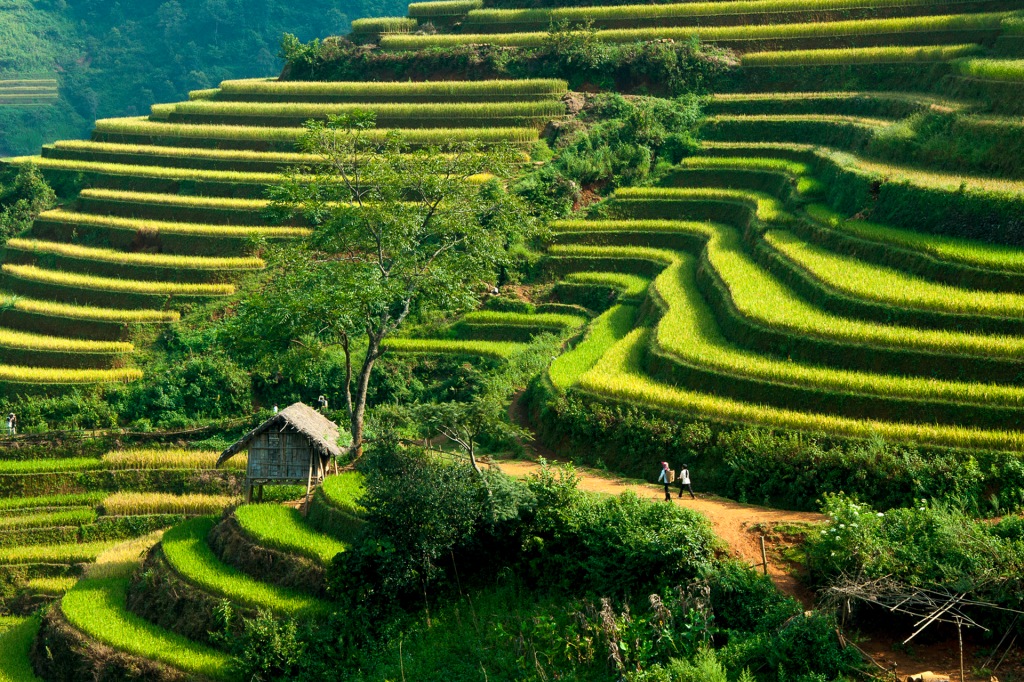 Một thoáng Tây Bắc