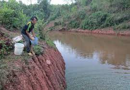 Hộ gia đình anh Giàng A Vàng ở bản Ngã Ba, huyện Mường Nhé là một trong những hộ điển hình về sử dụng vốn vay làm ăn có hiệu quả. Ảnh: CTV
