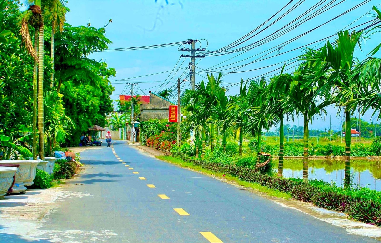Tuyến đường hoa kiểu mẫu tại thôn Vụ Nữ, xã Hợp Hưng.