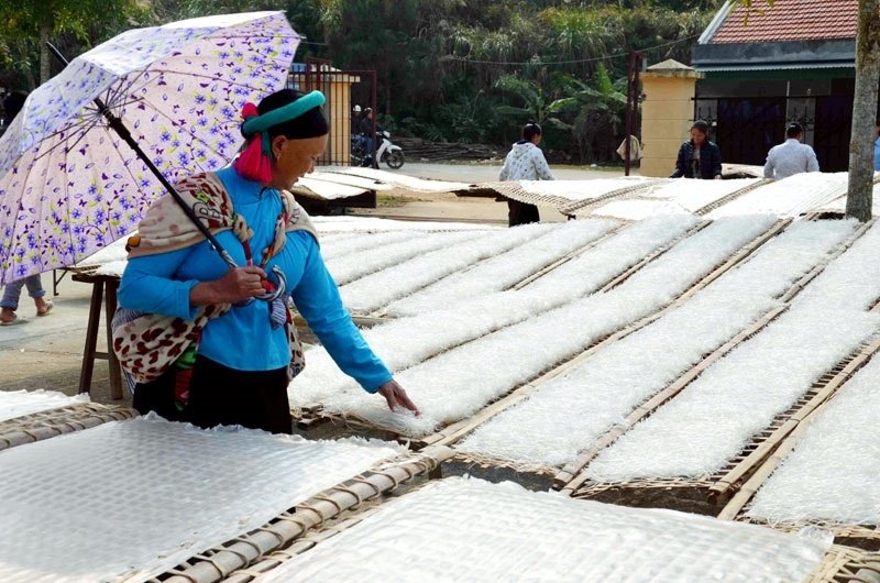 Sản xuất miến tại huyện Hà Quảng góp phần tạo việc làm và nâng cao thu nhập cho đồng bào DTTS