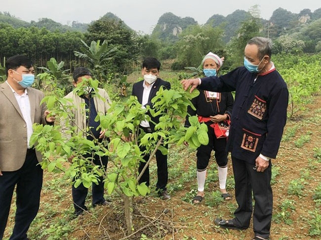 Người có uy tín đã có nhiều đóng góp trong phát triển KT-XH trên địa bàn Thanh Hóa