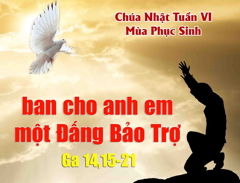 “Thầy sẽ xin Chúa Cha và Người sẽ ban cho anh em một Đấng Bảo Trợ khác đến ở với anh em luôn mãi”.