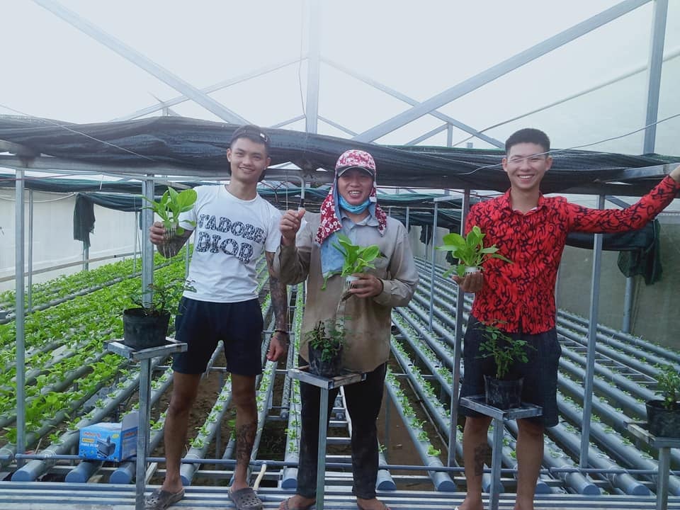 Rau sạch nhà Hướng Thiện đều do anh em tự tay chăm sóc.