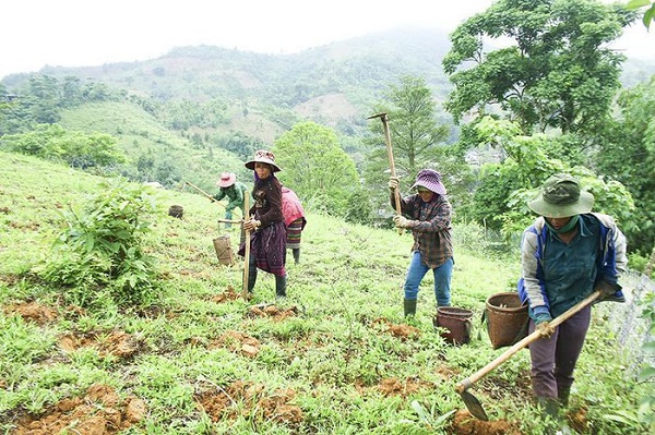 đảm bảo đất sản xuất cho các hộ gia điình đồng bào dân tộc thiểu số là một trong những điều kiện để giảm nghèo