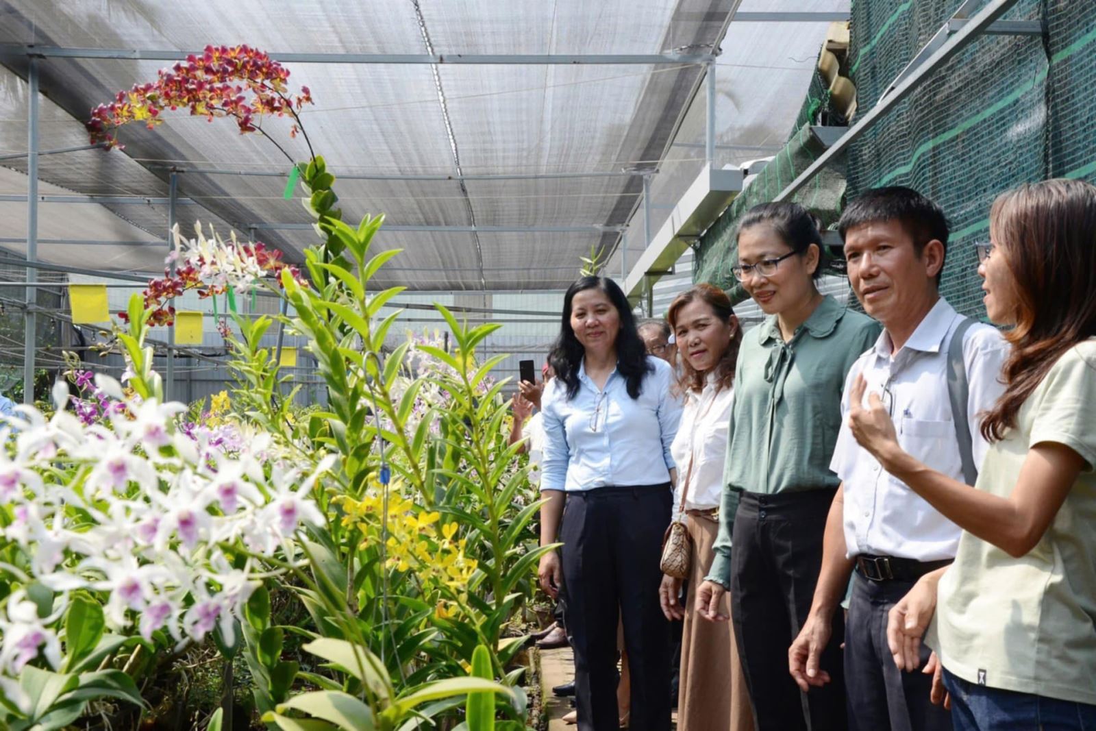 Mô hình trồng hoa lan công nghệ cao ở huyện Củ Chi (TPHCM). Ảnh: Đoàn Xá.