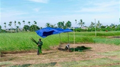 Khi hồn cói dệt ước mơ ra biển lớn
