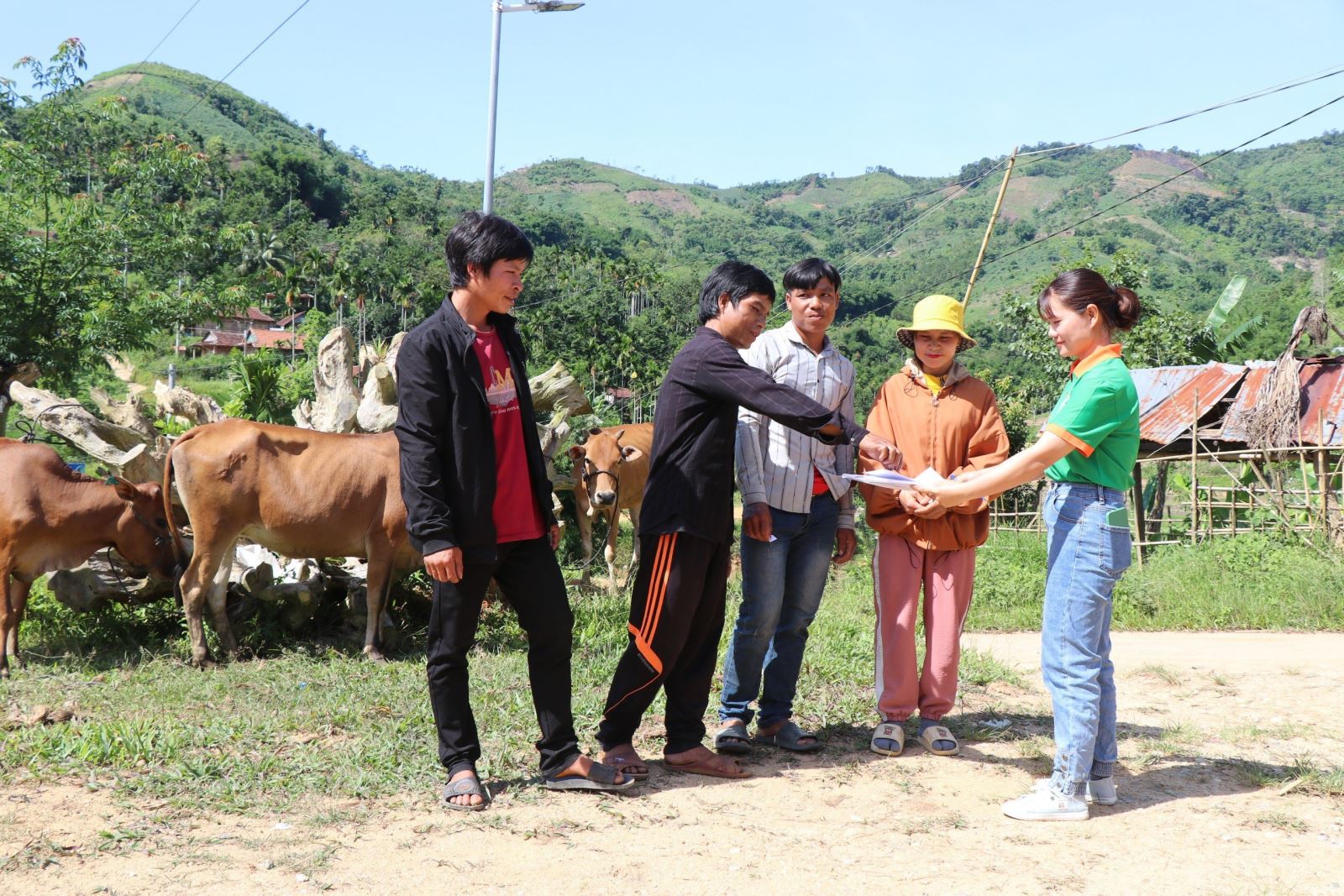 Một hộ dân tại Quảng Ngãi nhận bò sinh sản từ nguồn kinh phí của chương trình mục tiêu Quốc gia phát triển kinh tế-xã hội vùng đồng bào dân tộc thiểu số, miền núi 