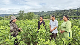 Tăng cường thông tin, vận dụng mạng xã hội để giảm nghèo