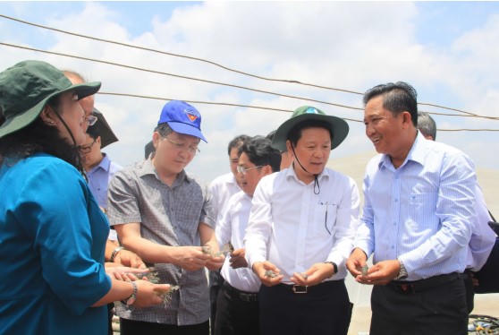 Chủ tịch Hội Nông dân Việt Nam Lương Quốc Đoàn thăm mô hình nuôi tôm công nghệ cao của Câu lạc bộ tỷ phú nông dân tỉnh Vĩnh Long. Ảnh: Huỳnh Xây.
