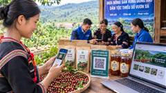 Ứng dụng công nghệ số mở ra cơ hội mới cho vùng đồng bào dân tộc thiểu số Gia Lai